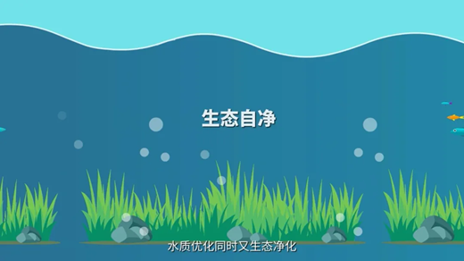 202505201109453027.png