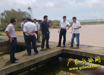 图为专家组在雷州水厂察看水源地,了解源水水质