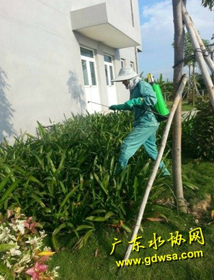 珠海水务集团全面落实“登革热”防控措施,确保供水安全
